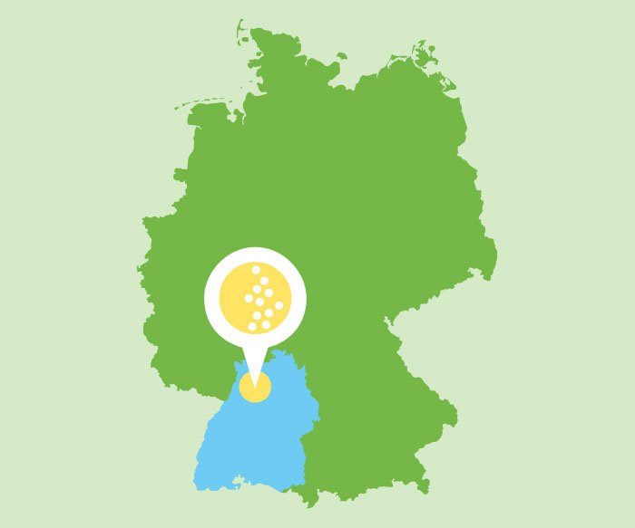 Verbandsfläche Zweckverband Wasserversorgungsgruppe Mühlbach